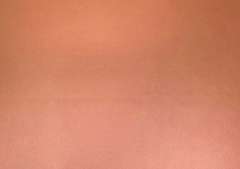 Piel vegana Peach