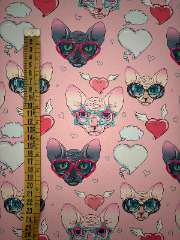 Gatos  gafas
