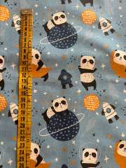 Panditas fondo azul