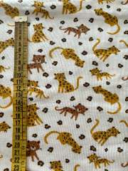 Leopardos bebés
