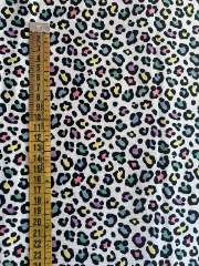 Print colores fondo blanco