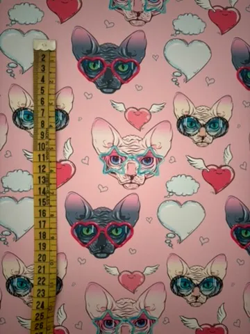 Gatos  gafas