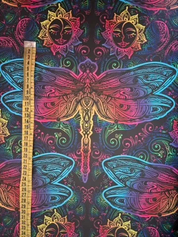 Libélulas colores