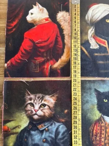 Panel animales vestidos
