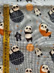 Pandas espacio