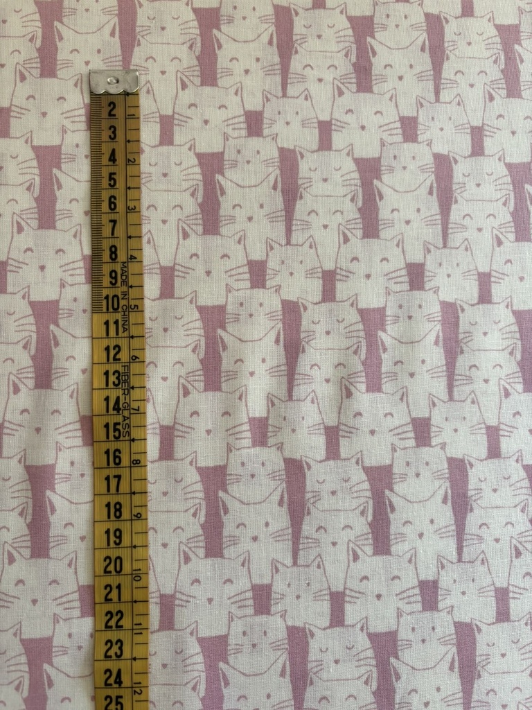 Cabezas gatitos blancos en fondo rosa