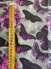 Mariposas moradas en telaraña