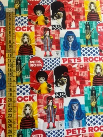 Pets Rock  Michael Miller