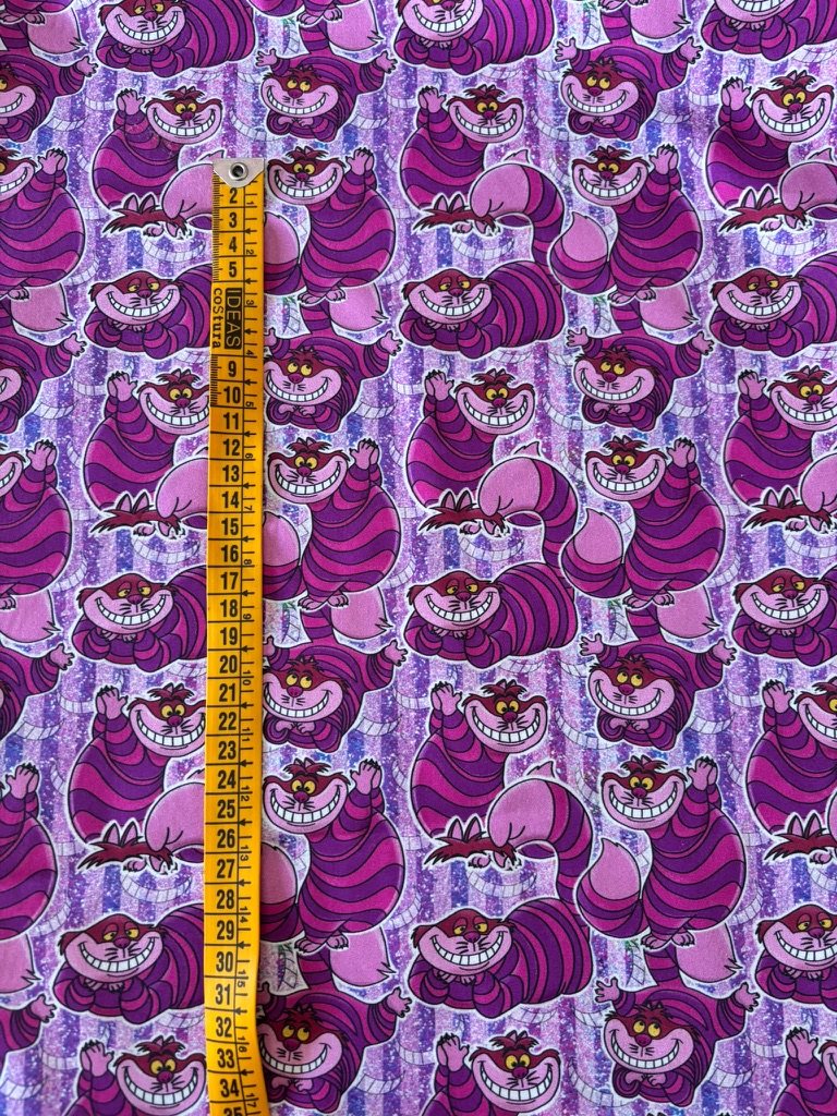 Gato Alicia