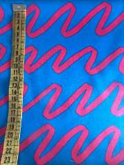 Raya fucsia fondo azul Nerida Hansen