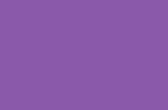Piel vegana Violeta