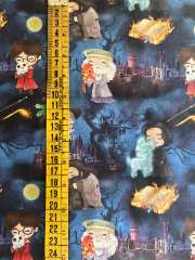 Harry potter noche de magia