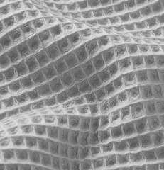 Waffle Gris